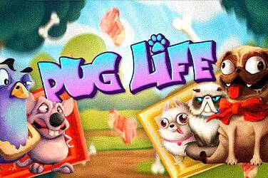 Pug life