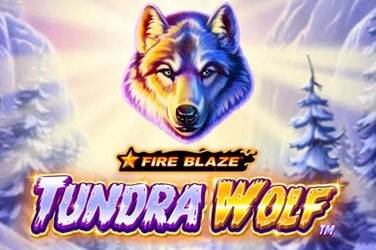 Fire blaze: tundra wolf